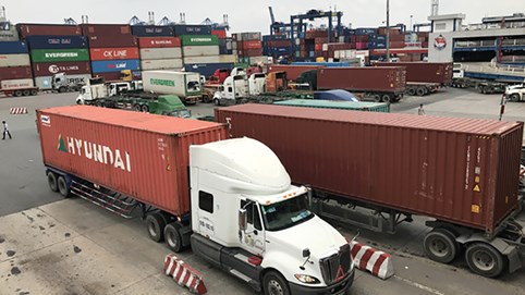 Container bớt khan hiếm, giá cước vẫn 'khủng'