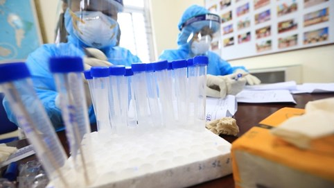 Dịch Covid-19: Tất cả trường hợp F1 ở Tuyên Quang âm tính lần 1 với SARS-CoV-2