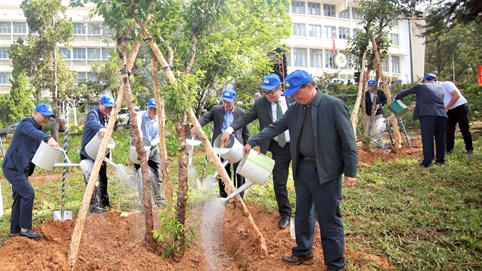 Bảo vệ môi trường với đề án trồng 1 tỷ cây xanh