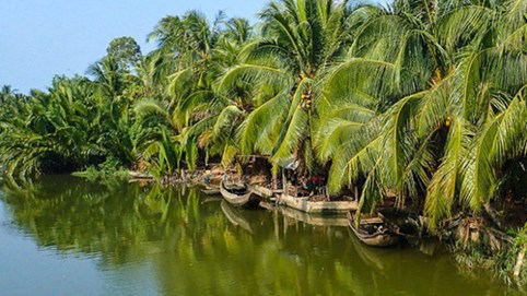 Khám phá sản vật miền Nam Việt Nam (Kỳ 15): mắm còng Châu Bình, rượu Phú Lễ, đuông dừa, kẹo dừa Bến Tre