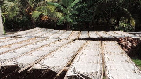 Khám phá sản vật miền Nam Việt Nam (Kỳ 16): bánh tráng Mỹ Lồng, bánh phồng Sơn Đốc, cơm dừa và rượu dừa Bến Tre