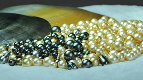 Khám phá sản vật miền Nam Việt Nam (Kỳ 24): biên mai An Thới, rượu mỏ quạ, hào bao, cá nhồng và ngọc trai Phú Quốc