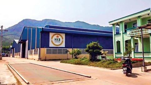 HKB báo lỗ 18 quý liên tiếp, giá cổ phiếu của công ty 'chìm sâu' dưới 1.000 đồng