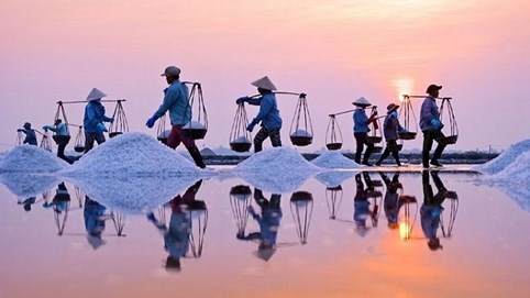 Khám phá sản vật miền Nam Việt Nam (Kỳ 25): gạo Một bụi đỏ Hồng Dân, muối, dừa nước và bồn bồn Bạc Liêu