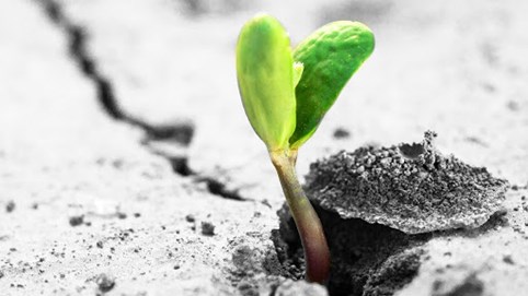 Vn-Index tăng 12 điểm, cổ phiếu nhóm VN30 hầu hết tăng giá