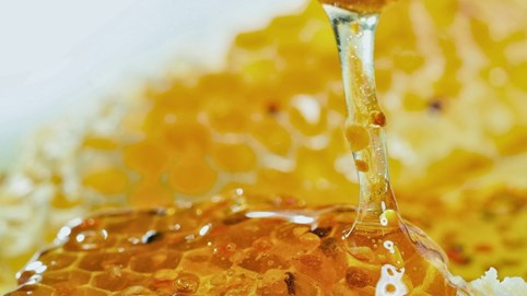 Khám phá sản vật miền Bắc Việt Nam (Kỳ 2): mật ong bạc hà, cháo ấu tẩu, quýt chum vỏ vàng, thịt bò khô Đồng Văn