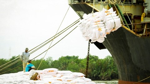 Giá xuất khẩu gạo Việt Nam vượt Thái Lan 