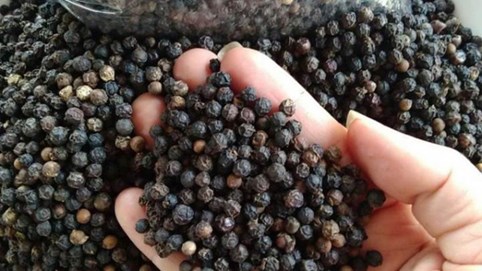 Ấn Độ có thể siết tiêu chuẩn hồ tiêu nhập từ Việt Nam.