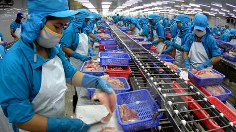 Gần 95% doanh nghiệp tại Cần Thơ dừng hoạt động do Covid-19