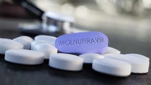 Hơn 300.000 viên thuốc Molnupiravir phục vụ điều trị F0 về Việt Nam