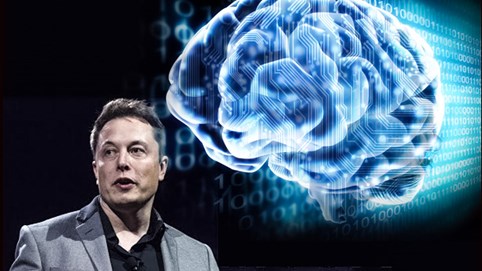 Startup của Elon Musk dùng heo để thử nghiệm công nghệ kết nối não với máy tính