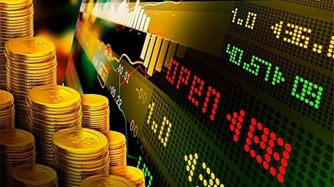 Một cổ phiếu tăng 130% sau hơn một tuần