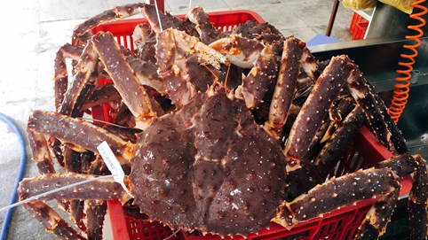 Sau tôm hùm, bào ngư, cua Hoàng đế ở Hà Nội giảm giá mạnh, siêu rẻ