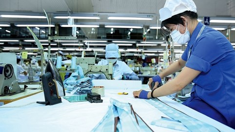 GDP Việt Nam 2020 dự kiến tăng 2,5-3%