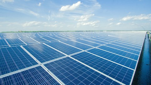 Bamboo Capital và hành trình 13 năm phát triển bền vững, kiến tạo giá trị cho cộng đồng