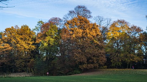 Chiêm ngưỡng phong cảnh mùa thu hữu tình tại Bỉ