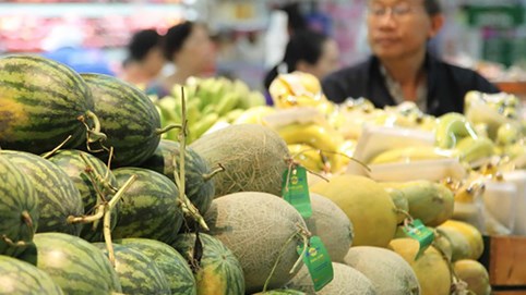 Lập đường dây nóng tháo gỡ vướng mắc xuất khẩu nông sản giữa Việt Nam - Trung Quốc