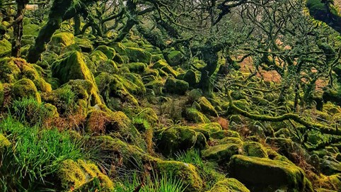 Thử thách lòng gan dạ khi tới thăm những địa điểm rùng rợn bậc nhất Vương quốc Anh