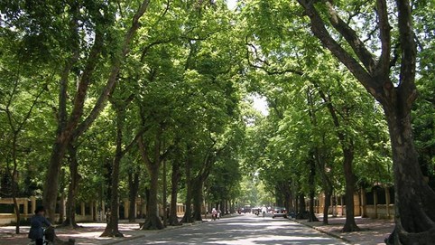 Thời tiết ngày tuần 2/5 – 8/5: Bắc Bộ ngày nắng, đêm có mưa vài nơi; Nam Trung Bộ đến Nam Bộ cảnh báo mưa rào và dông