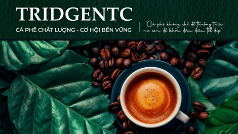 Công ty TNHH Công nghệ Thương mại Nông nghiệp TridgeNTC: Ứng dụng công nghệ sinh học – Nâng tầm hạt cà phê chồn Việt Nam