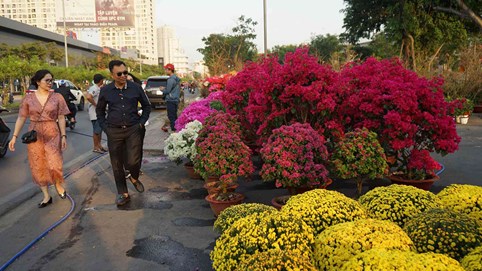 Hoa Trung Quốc gắn mác hoa Tết Đà Lạt