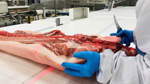 Giá heo hơi hôm nay 20/1/2021: Nhiều địa phương vọt lên 86.000 đồng/kg