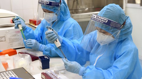 Người Nhật tử vong ở Hà Nội mang chủng virus mới, lần đầu phát hiện ở Việt Nam