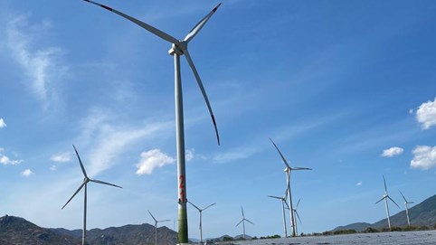 Tiền Giang 'bật đèn xanh' cho dự án điện gió nghìn tỷ của TTC Group