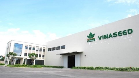 Doanh nghiệp đầu tiên thống nhất tạm thời chuyển giao dịch cổ phiếu từ HoSE sang HNX