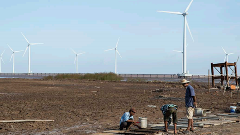 Bộ sưu tập dự án điện gió tỷ đô của ông Đỗ Lê Quân