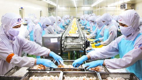 Doanh nghiệp sợ… hậu kiểm