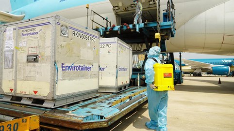 Đầu tháng 4 lô vaccine Covid-19 đầu tiên của Covax về Việt Nam