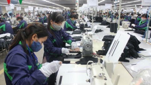 Nửa đầu tháng 7, hàng chục ngàn doanh nghiệp thông báo tuyển dụng