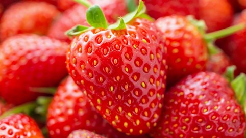 Hơn 10 tấn dâu tây Trung Quốc đội lốt dâu tây Đà Lạt