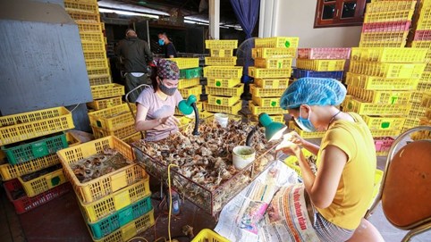 Mục sở thị nghề 