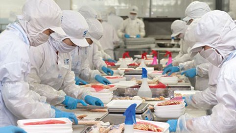 12 doanh nghiệp được xuất khẩu lại thủy sản vào Ả Rập Saudi sau hơn 2 năm bị 