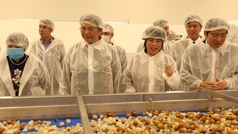 Khánh thành nhà máy chế biến hoa quả tươi và thảo dược vốn đầu tư 1.200 tỷ đồng tại Sơn La