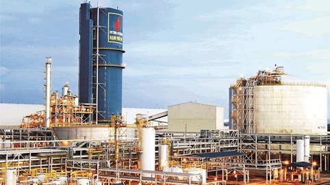 Thoái vốn tại Đạm Phú Mỹ chờ duyệt đề án tái cơ cấu tổng thể PVN