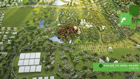 “Dọn ổ” cho Samsung, Hoàng Thịnh Đạt kiếm được bao nhiêu tiền?