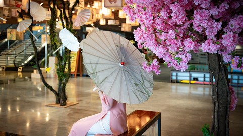 Tháng 12 lên núi Bà Đen lễ tạ, đi chợ lá, tham dự tuần văn hóa Việt Nhật