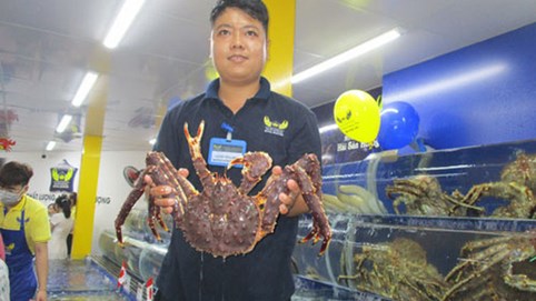 Doanh nghiệp dè dặt nhập hàng bán Tết