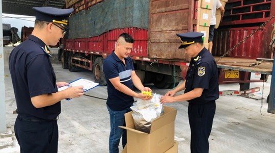 Chống buôn lậu vàng, hàng giả và ma túy trên các tuyến trọng điểm