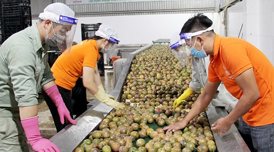 Bộ Công Thương khuyến cáo doanh nghiệp cập nhật quy định mới của Trung Quốc về xuất khẩu thực phẩm