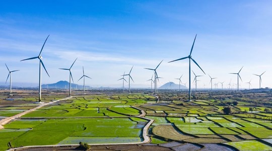 Gia Lai mời đầu tư dự án nhà máy điện gió hơn 48.300 tỷ đồng 