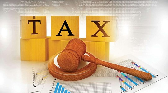 Khai sai thuế, sử dụng hóa đơn không hợp pháp, công ty Tanimex (TIX) bị 'tuýt' còi