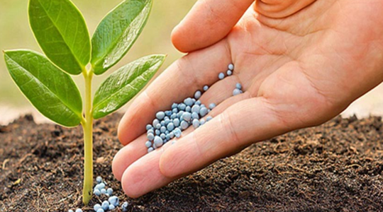 Chứng khoán MBS dự báo ngành phân bón năm 2026 là năm 'gieo hạt tốt, gặt mùa vàng'