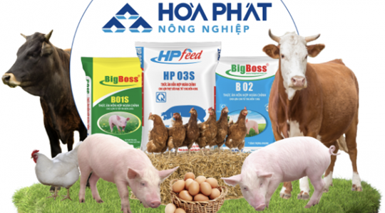 Lợi nhuận 6 tháng 2025 đạt 939 tỷ, Nông nghiệp Hòa Phát (HPA) nộp hồ sơ lên HOSE, hé lộ 10 năm "làm thật" mảng chăn nuôi