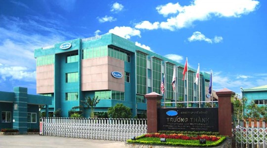 Gỗ Trường Thành (TTF) thay Kế toán trưởng sau 2 tháng bổ nhiệm, lỗ lũy kế vượt 3.200 tỷ đồng