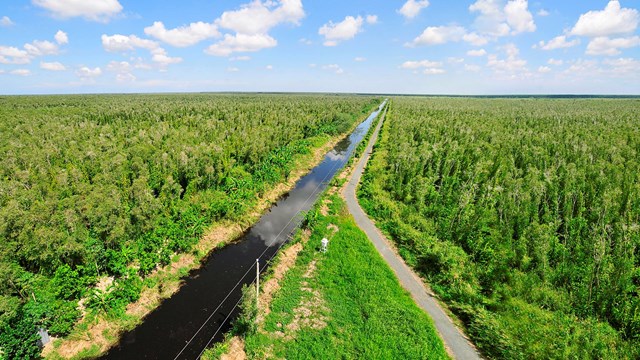 Cà Mau duyệt đề án du lịch rừng U Minh Hạ hơn 1.450 tỷ đồng