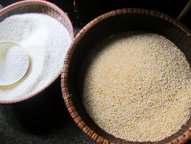 Gạo nếp làm bánh phải thơm, căng, mẩy thì bánh mới ngon. Gạo nếp làm bánh phải thơm, căng, mẩy thì bánh mới ngon.